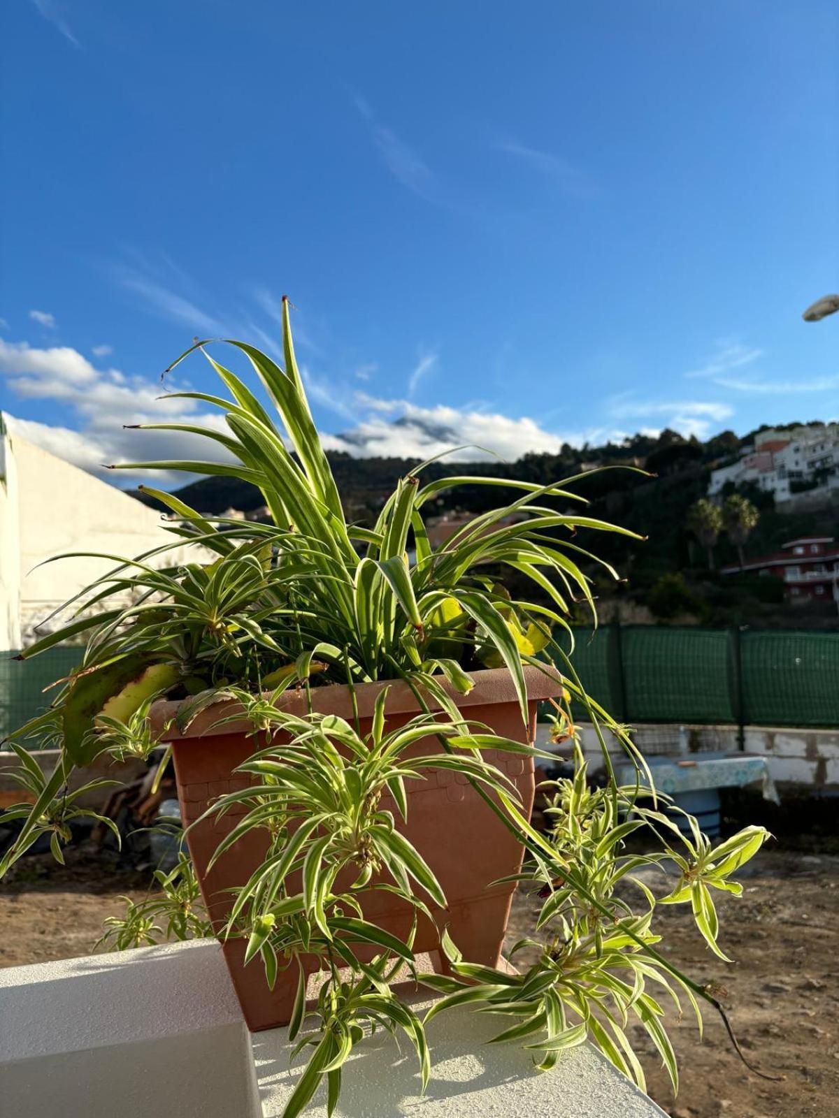 Гостьовий будинок La Trinidad La Guancha Екстер'єр фото